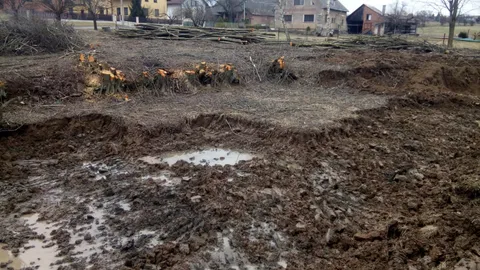 Aufbau von Ubytování Verliba – 2018, Foto 5