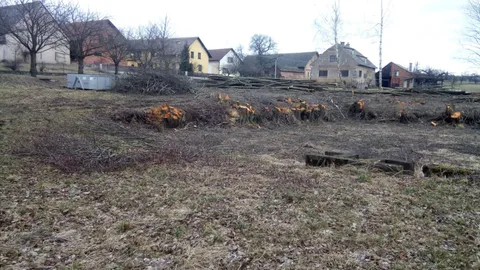 Aufbau von Ubytování Verliba – 2018, Foto 7